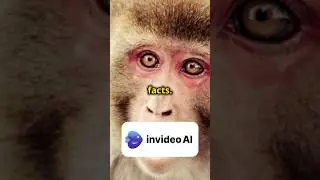 I generated a video with invideo ai #ai #aitools #technology