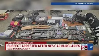 Suspect arrested after NES car burglaries