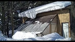 Lean-Too Greenhouse Winter Chicken Coop Tour