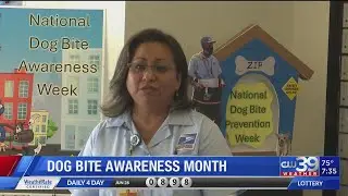 Dog Bite Awareness Month