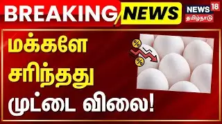 Breaking News | மக்களே சரிந்தது முட்டை விலை! | Egg price update today Tamil Nadu