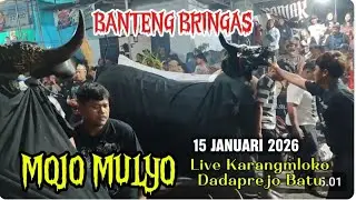Bringas Banteng Mojo Mulyo Full Solah Kalapan Live Karangmloko Batu