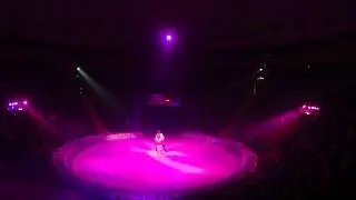 ICE circus CORONA 2014
