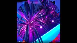 LED Outdoor Smart RGBCCT Lighting