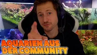izzi reagiert auf EURE AQUARIEN