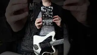 A FUN PAIRING #fuzzpedal #guitarpedals #aluminiumneck