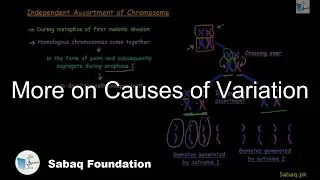 More on Causes of Variation, Biology Lecture | Sabaq.pk