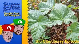 SSFB Presents: Swedish Food For Foreigners - the Cloudberry Episode (Hjortron)