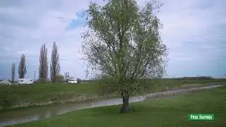 Reke i jezera - Rekla Zlatica
