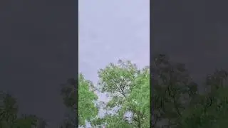 rangdar ka mehar hai 