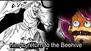 Ochoku (WANG ZHI!!) ROCKS, BB AND THE ROCKY PORT INCIDENT (1155) | ONE PIECE LATE SESSIONS