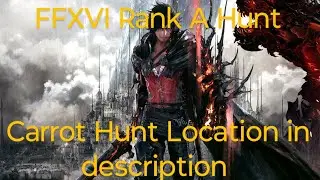 Carrot Hunt