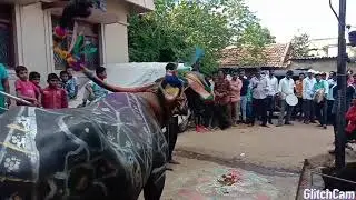 Gopal GOULI 🔥 dharwad ganga queen 👑