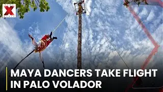 Soaring Tradition: Palo Volador Dancers Leap for Heritage  | NewsX World