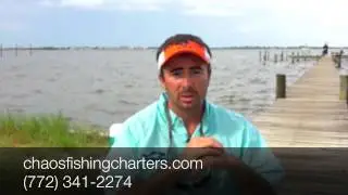 Snook Fishing Stuart FL (772) 341-2274 Chaos Fishing Charters - Snook Fishing Stuart Florida