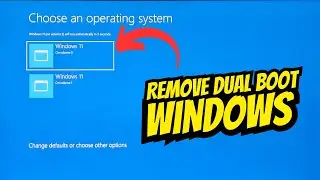 How to remove dual boot in Windows 11/10 [Permanent removal]
