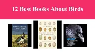 12 Best Books About Birds