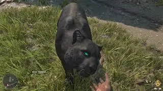 Far Cry 6  - Oluso