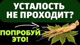 Эти травы вернут вашему телу силу и жизненный тонус