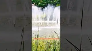 Nature Trip in South Korea: Fountains, Falls, and More! #relaxing #travel #enjoy #enjoylife