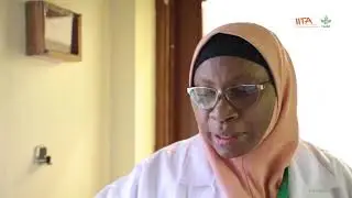 Tissue culture technique for improving yam seed system