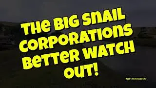 the big snail corporations better look out