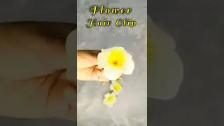 Cute floral hair clips for festive & daily look#shorts#meeshofinds#meeshohaul#flowerhairclip#clips