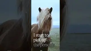 One Symptom, Many Treatments: #EquineHealth #HorseLovers #HealthyHorses #HorseCareTips