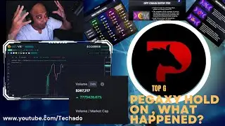 Pegaxy может вернуться. И вот почему? Сможет ли он выдержать? Огромная вероятность!