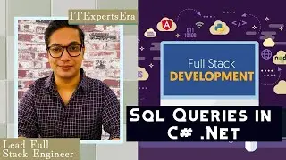 Sql Server Primary Key and Sql Queries