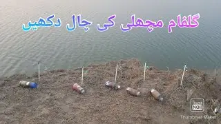 Gulfam fish Ki live Chaal Dakhiye is Video main Fishing in Mangla Dam mohsin kahwaja