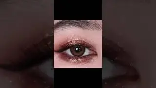 Champagne Pink Gold eye makeup #eyemakeup #beginnereyemakeup #viral