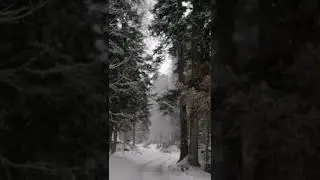 Snowfall sound high quality for relaxing ❄️🌨️🔊 #asmr #short #shorts #snow #sound #deepsleep #relax