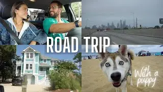 ROAD TRIP WITH US | PHL----OBX | Travel with a puppy
