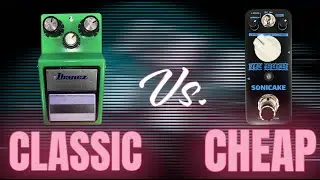 TS9 Tube Screamer против бюджетной гитарной педали Overdrive #guitar #electroguitar #ibanez