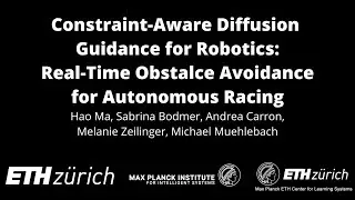 Constraint-Aware Diffusion Guidance for Robotics: Real-Time Obstacle Avoidance for Autonomous Racing