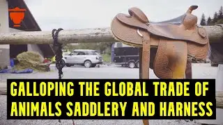 Do you know the Demand for Exports of Animals Saddlery and Harness products are Galloping! Learn It