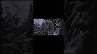 Yeti inspects trail camera #nightmare #creepy #beast #scary #yeti #terrors #ai