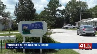 2 year old killed, 4 year old injured in Bleckley County shooting