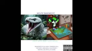 WOLFIE BANDIKOOT - PAINT & THINNER [PRODUCED BY BUDDAH x DJ SIGMA]