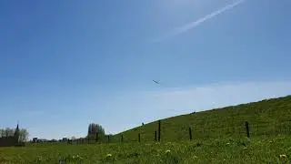 DLG soaring