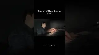 Bach: Jesu, Joy of Man's Desiring (Shorts 2) #piano #bach  #classic