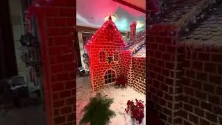 Merrytime Transformation Disney Cruise #christmas #holiday
