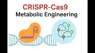 CRISPR-Cas9 и метаболическая инженерия: перепрограммирование биохимических цепей жизни