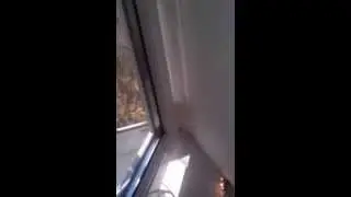 Работа солнечных элементов Sovello в батареи 40 шт