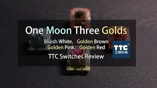 TTC Switches Review (Bluish White, Golden Brown, Golden Red, Golden Pink)