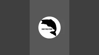 Let's see if fish bite after the winter storm. #mobile #fishing #livestream