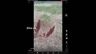 A_G_001 ARG Explained Teaser 2 - The Secret Short