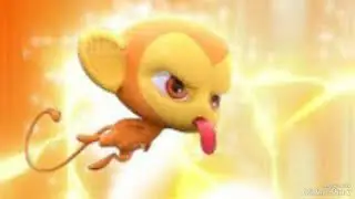 TUDO SOBRE O XUPPU !!!🐵🐵🐵