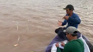 Khai Trương Tay Lưới Quét Cá Mè Về Nấu Bữa Cơm Tối | Vương Quốc Bần #45